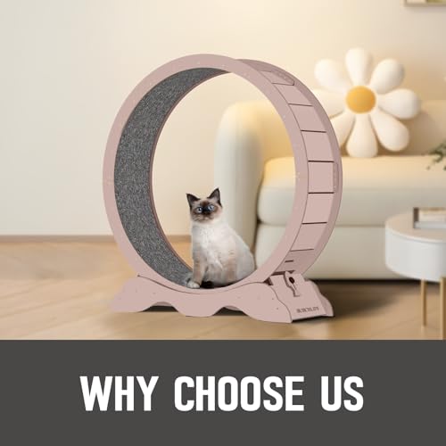 Cat Exercise Wheel 45 Inch Cat Treadmill for Indoor Cats, Running Wheel with Detachable Carpeted Runway