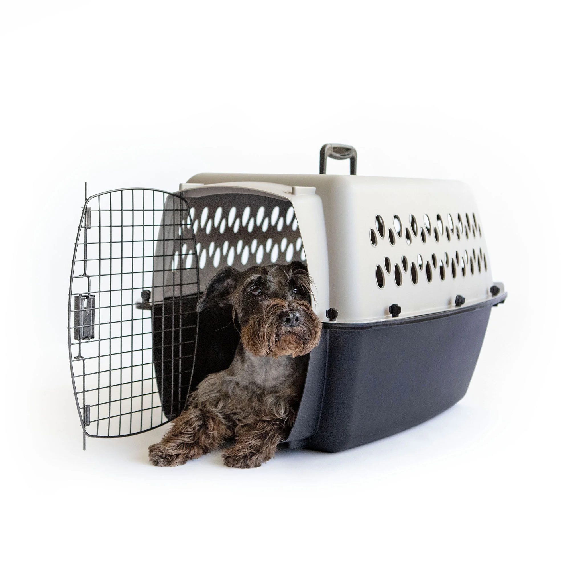 Vibrant Life Pet Kennel 19 X-Small Plastic Dog Crate Portable Carrier for Pets Up To 10 lbs