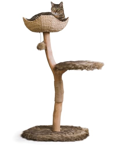 Wooden Cat Climbing Tree Tower, Modern Single Branch Cat Condo, Wood, Cat Lover Furniture Gift by MAU LIFESTYLE (Alpine White)