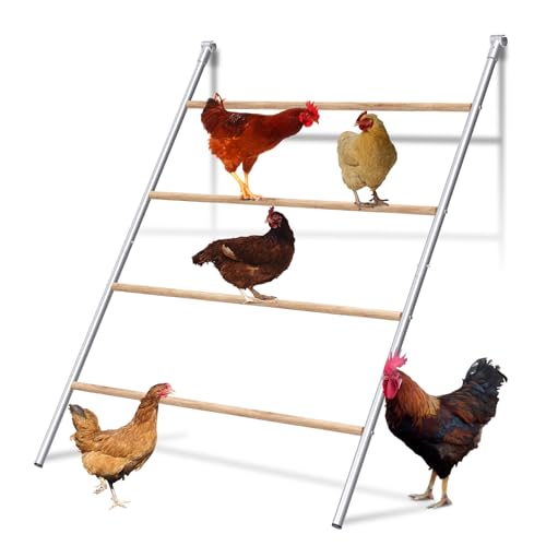 Large Chicken Coop, Chicken Coops for 30 Chickens, Chicken Runs for Yard with Water Poof & UV Resistance Cover