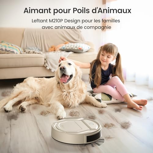 Lefant M3 Robot Vacuum, Robot Vacuum and Mop, 12000Pa Suction, Anti-Tangle Brushes, Dual Spinning Mop, Auto Mop Washing, Drying, Self-Emptying