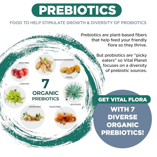 Vital Planet - Vital Flora Ultra Daily Probiotic 60 Billion CFU, Diverse Strains, Organic Prebiotics, Immune Support, Bloating Relief