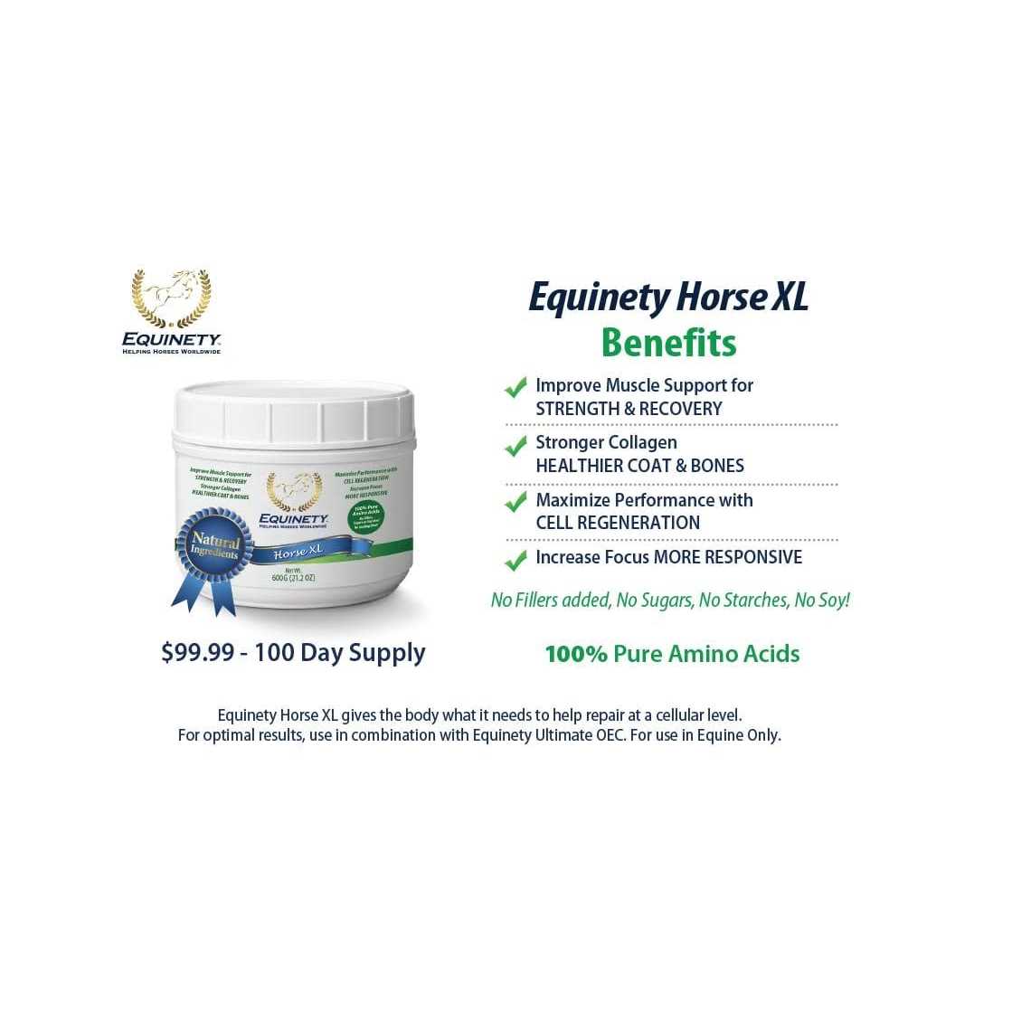 Equinety Horse XL - Sports Supplies Online Store