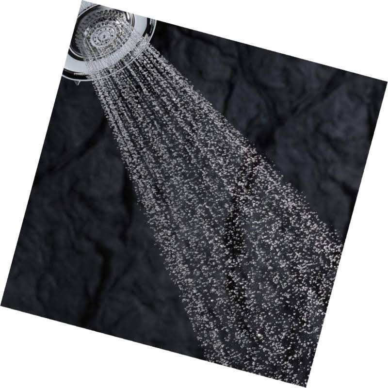 Kohler K-10286-BN Forte Handshower Vibrant Brushed Nickel