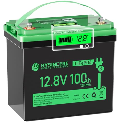 12V 100Ah LiFePO4 Lithium Battery, Mini Deep Cycle Rechargeable LiFePO4 Battery, Max.15000 Cycles Built in 100A BMS for RV, Trolling Motor, Camping