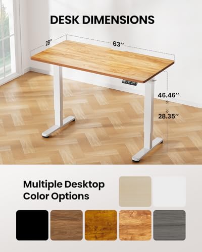 ErGear Height Adjustable Electric Standing Desk, 48 x 24 Inches Sit Stand up Desk, Memory Computer Home Office Desk with Two-Piece Desktop (Walnut)