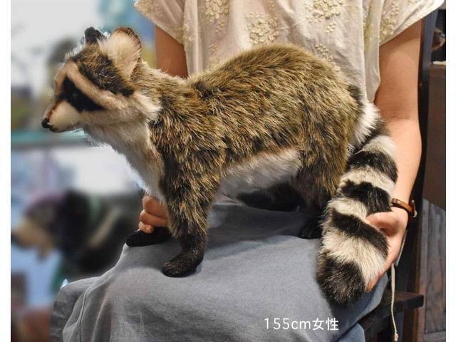 Hansa Standing Racoon Plush