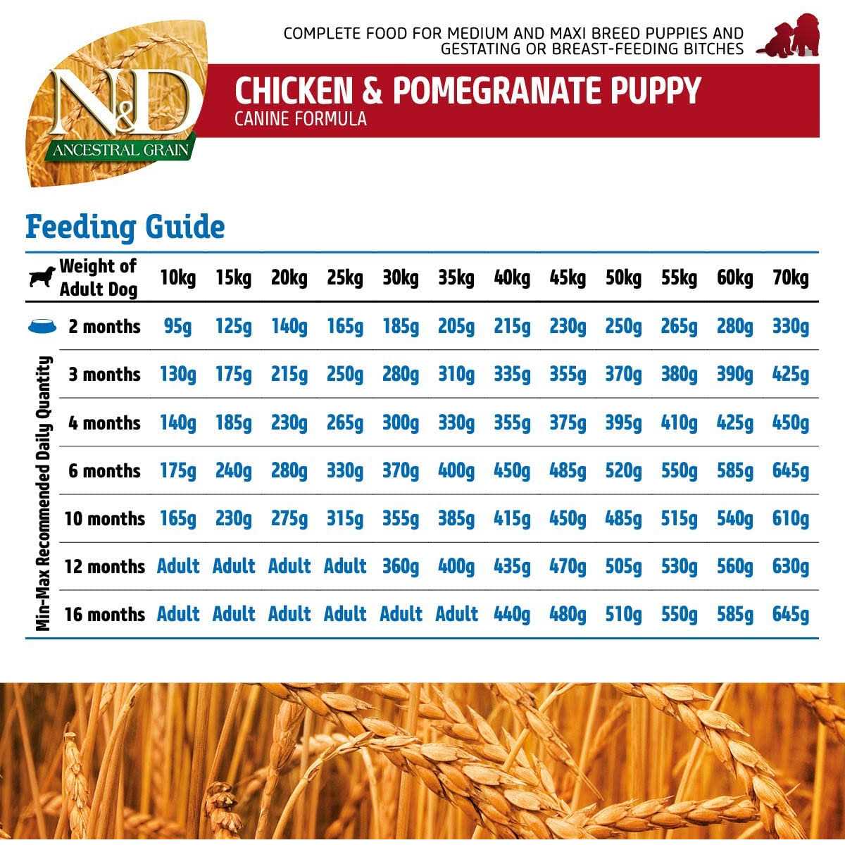 Farmina N&amp;D Ancestral Grain Chicken &amp; Pomegranate Dry Dog Food - Pet Supplies online store