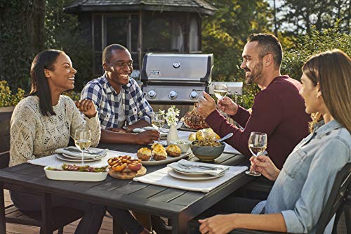 Weber SPIRIT 3-Burner Grill EP-325 Liquid Propane Black