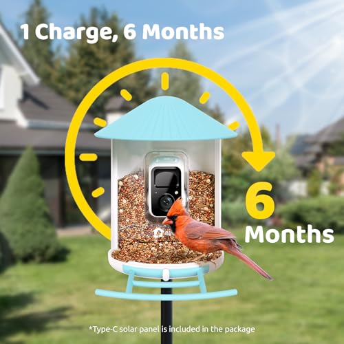 NETVUE Birdfy® Pro Bird Feeder with Camera, Wider Perch DIY Add-ons, Hummingbird Feeder, Suet Ball, Jelly Feeder