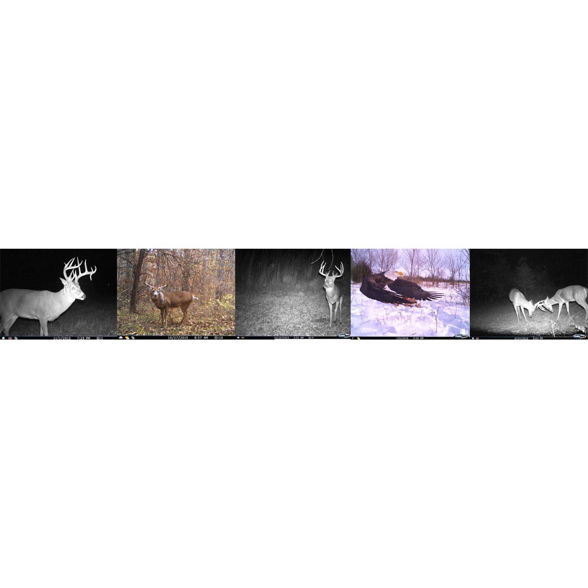 CuddeLink Power House Black Flash 20 Mp Wireless Network Trail Camera (2 Pack)