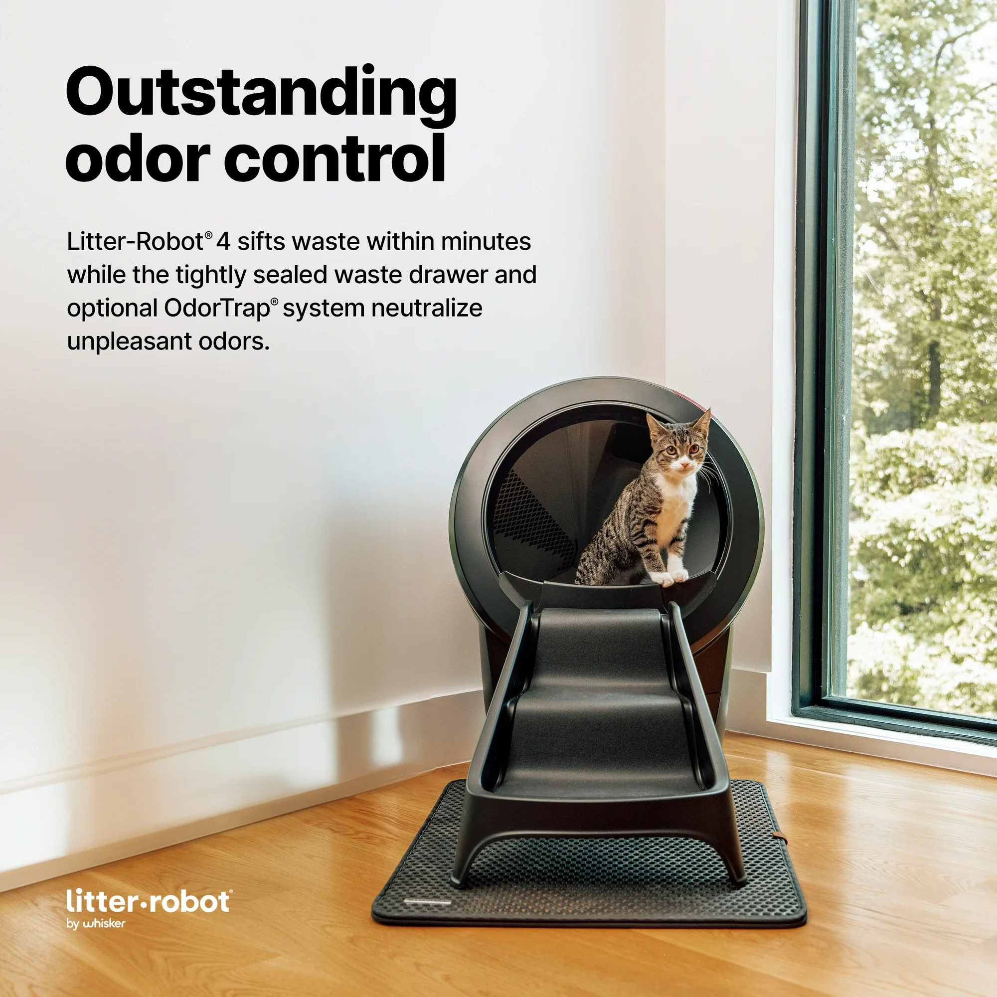 Litter-Robot 4 Automatic Self-Cleaning Cat Litter Box with Step, Black