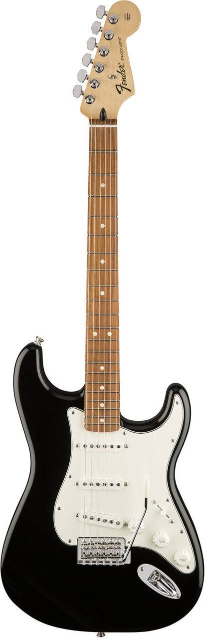 Fender Standard Stratocaster Pau Ferro Fingerboard Black
