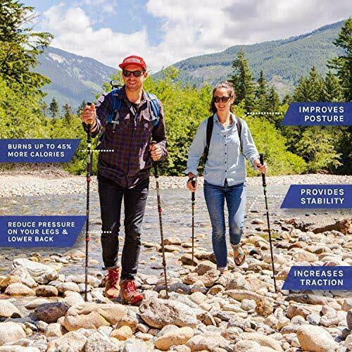 Cascade Mountain Tech Ultralight Carbon Fiber Eva Grip Hiking Trekking Poles