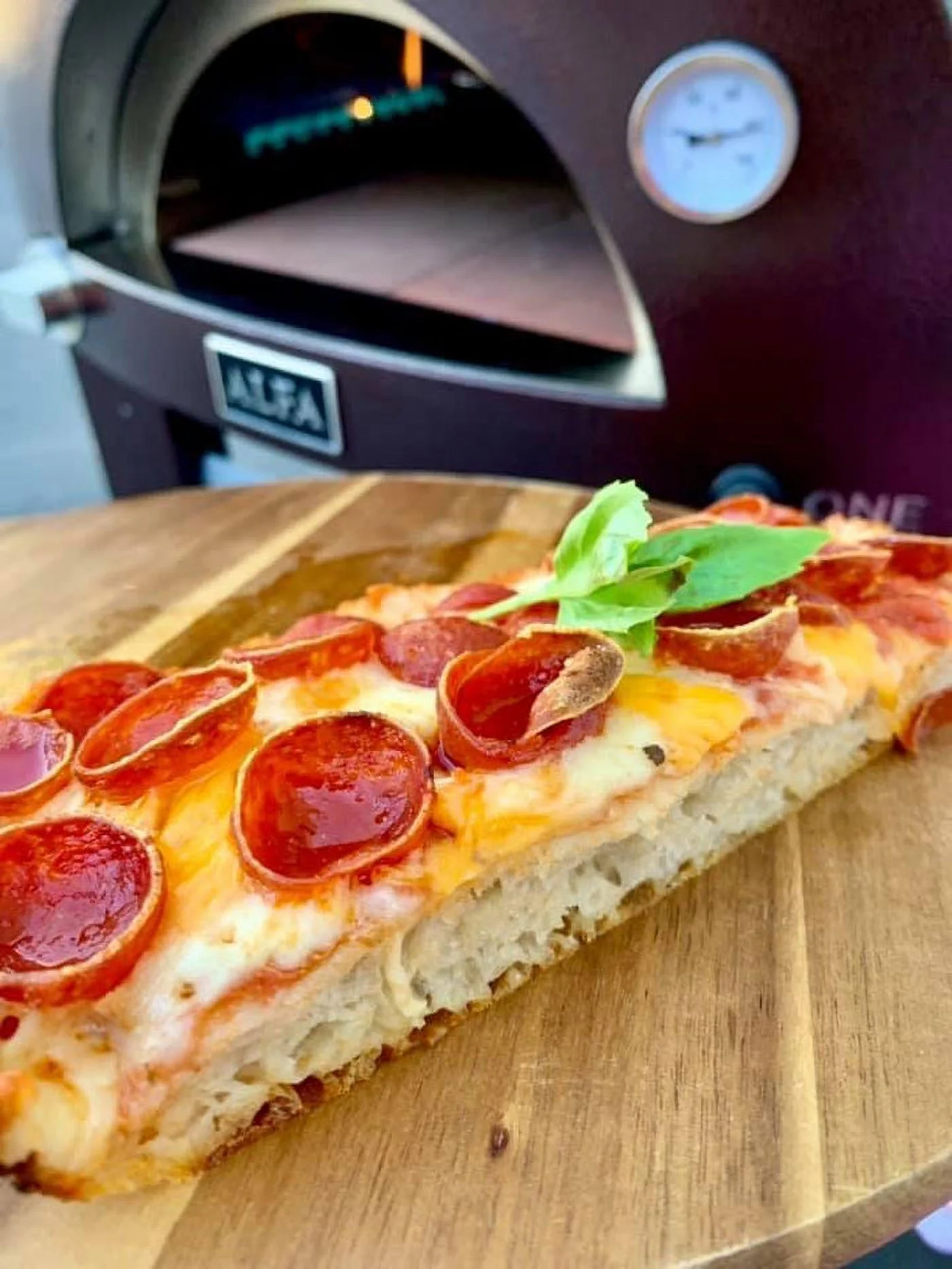 ALFA Nano Gas or Wood Fire Hybrid Pizza Oven (Wood Oven Only)