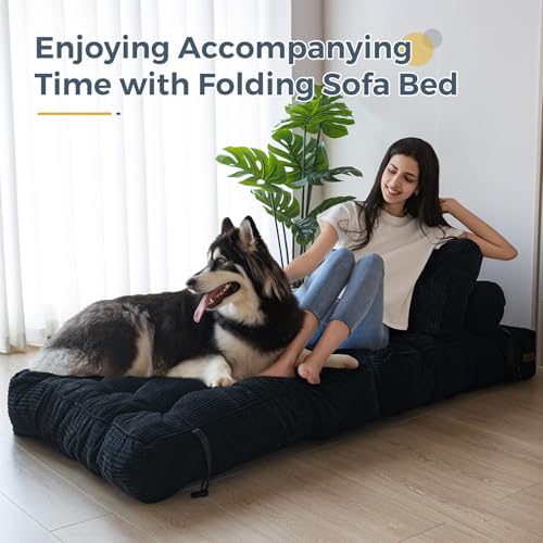 MAXYOYO Folding Sofa Bed, Convertible Sleeper Chair with Pillow Foldable Mattress with Back Support