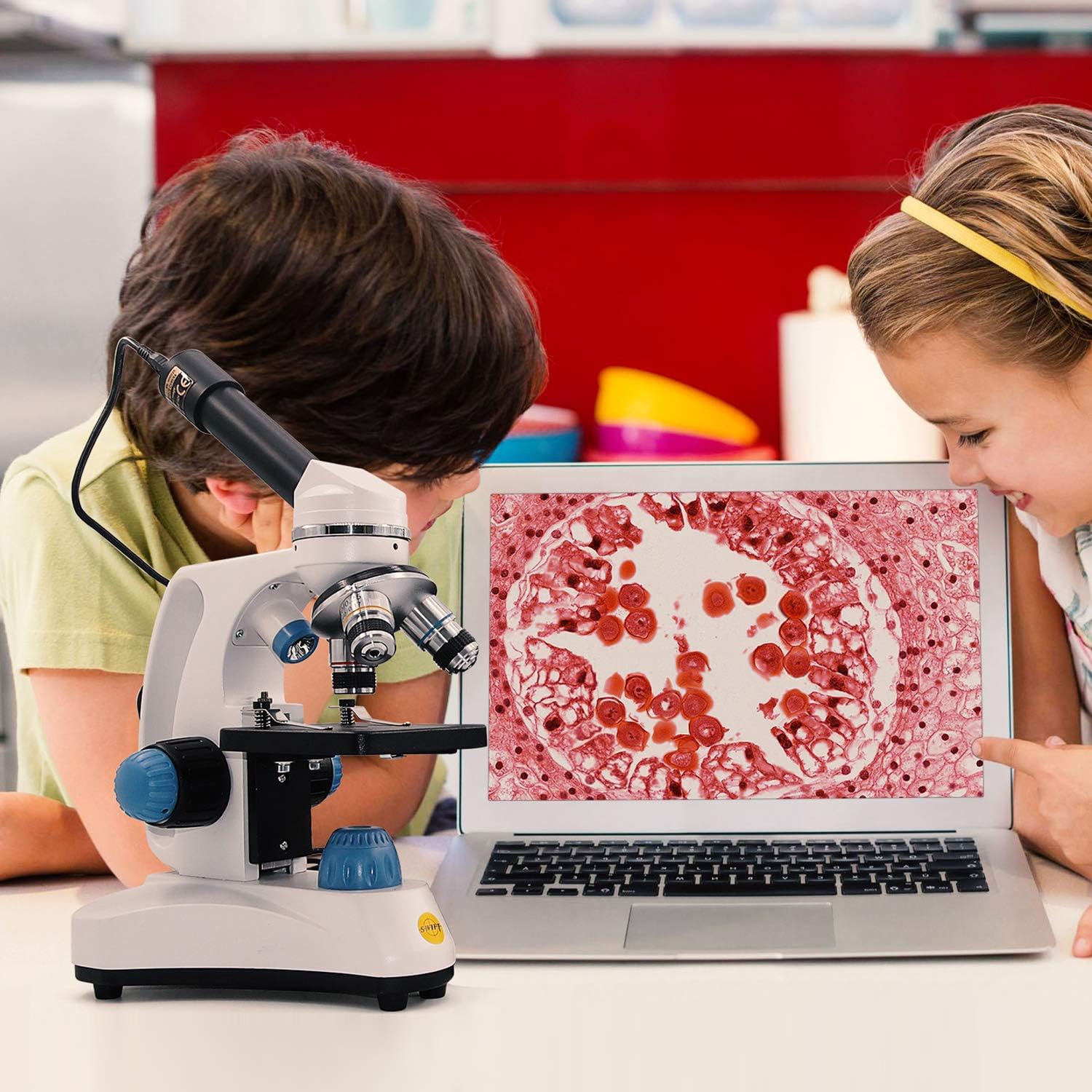 SWIFT Microscope SW150,Compound Student Microscope,40X-1000X,Monocular Head,Coarse & Fine Focusing,Dual Illumination