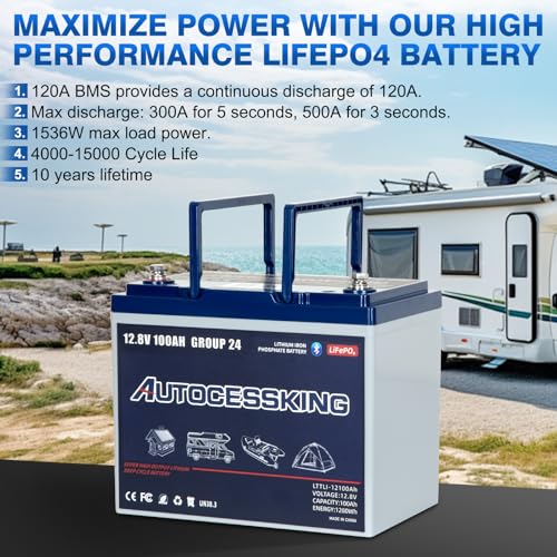12V 100Ah BCI Group 24 LiFePO4 Battery, 100A BMS Rechargeable Mini Lithium Battery with Low-Temp Protection, Up to 15000 Cycles Perfect for RV
