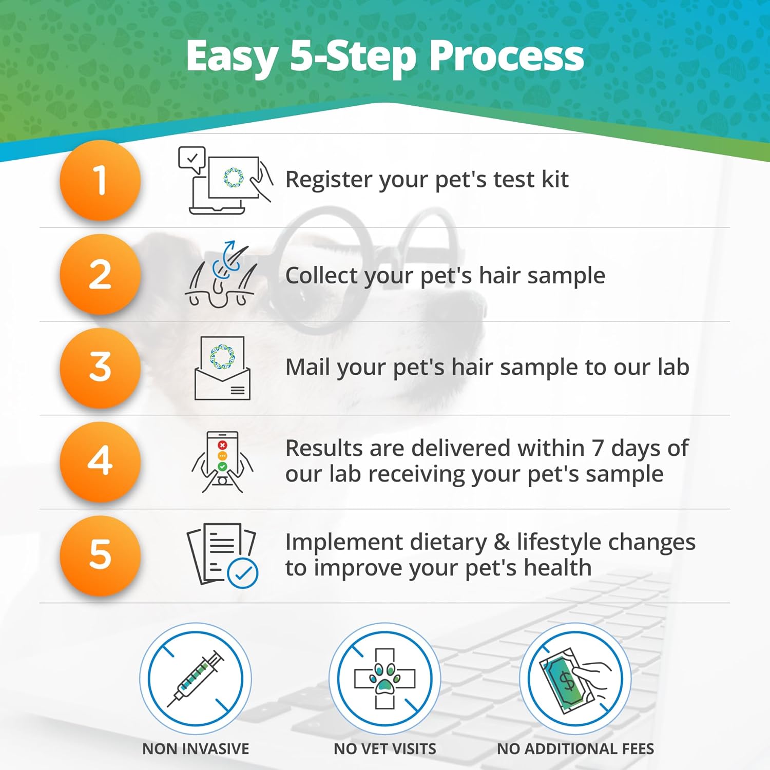 5Strands Pet Food and Environmental Intolerance Test, at Home Sensitivity Test for Dogs & Cats, Hair Sample Collection Kit, 395 Items Tested