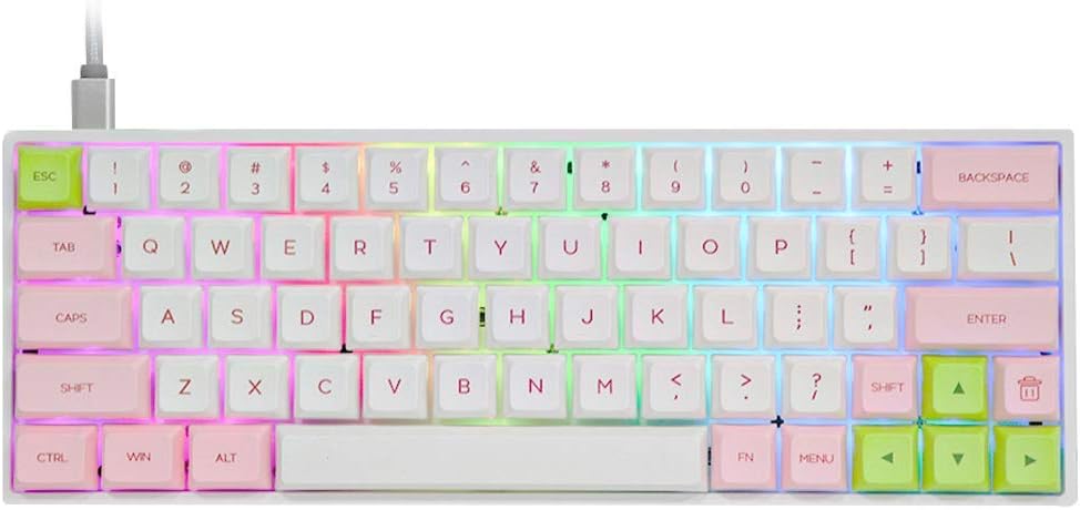 EPOMAKER SKYLOONG SK64 64 Keys Wired Hot Swappable Mechanical Keyboard with RGB Backlit, PBT Keycaps, Arrow Keys for Win/Mac/Gaming