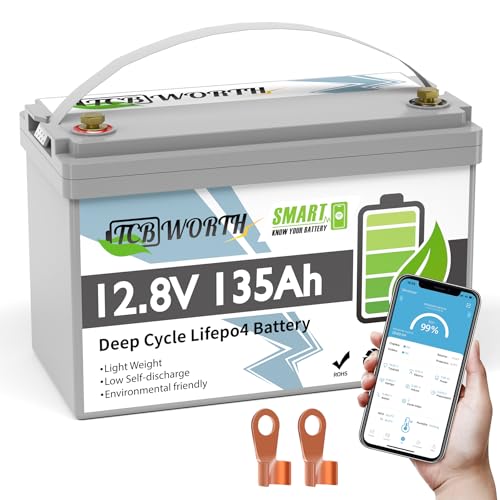 12V 100Ah LiFePO4 Battery, Rechargeabel Deep Cycle Lithium Batteries, 100A BMS with Low-Temp Protection, Perfect for RV, Solar, Boat, Marine