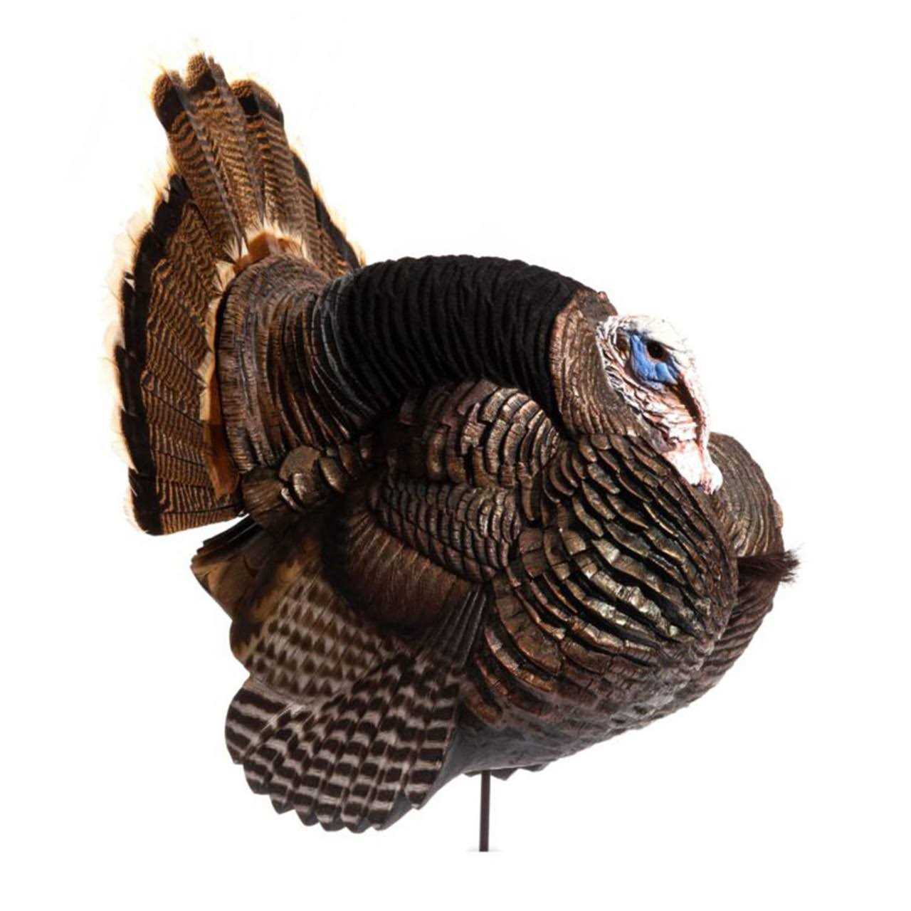Dave Smith Decoys Posturing Jake Turkey Decoy - Sports Supplies Online Store