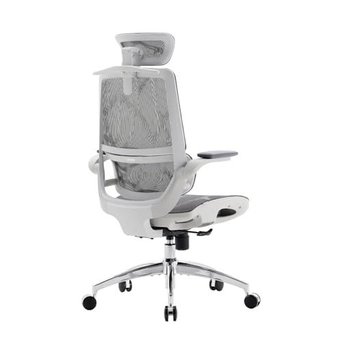 SIHOO M59AS Ergonomic Office Chair, Desk Chair with 3D Flip-up Armrests, Computer Chair with Dual Back Design and Adaptive Dynamic Lumbar Support