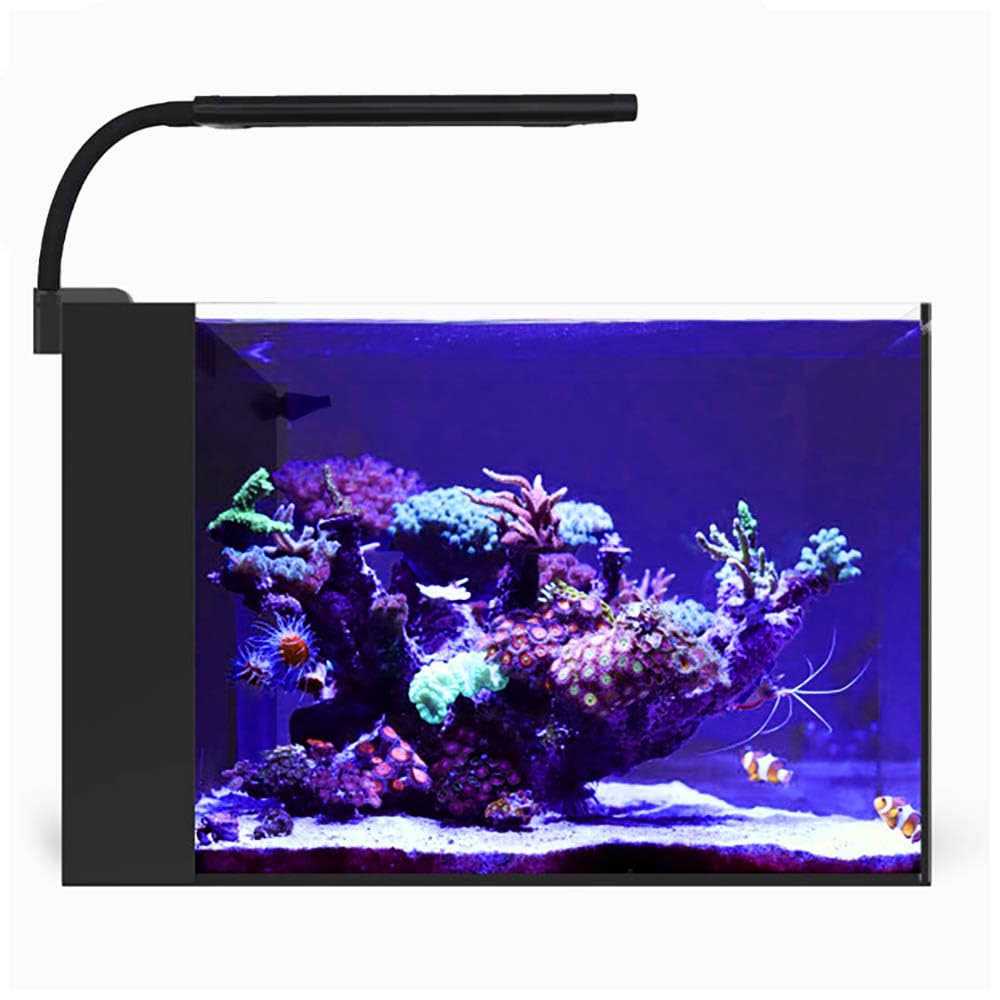 Current USA Orbit Marine NANO LED Light w/Gooseneck Mount &amp; Dynamic Controller - Pet Supplies online store