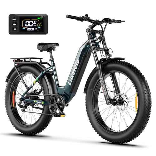 Pro Electric Bike for Adults, 26"x4" Fat Tire Mountain Ebike with Dual Hydraulic Brakes, 1000W Peak Motor, 624Wh Anti-thief Battery