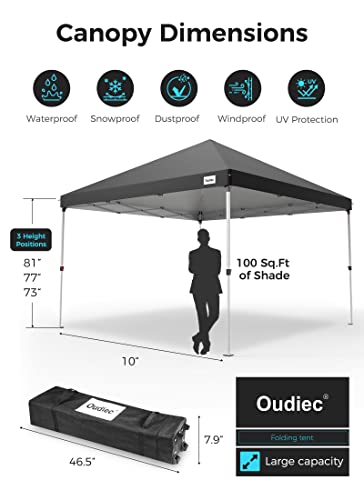 Pop up Canopy Tent with Window, 10x10 Ft Outdoor Gazebo Tent with Removable Zip up Sidewall and Doors, 1 Bonus Wheeled Case