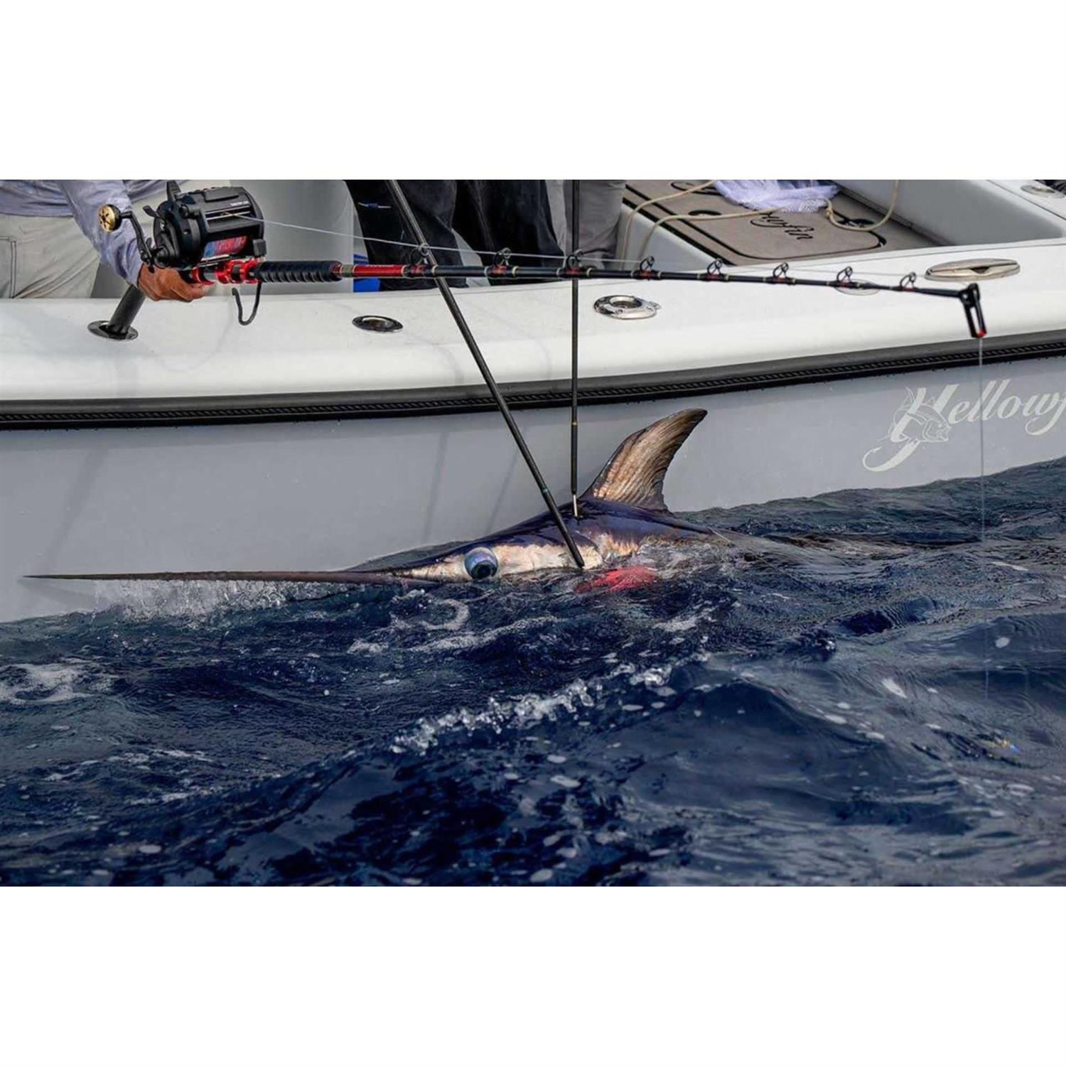 Daiwa Tanacom 1000 Power Assist Reel - Sports Supplies Online Store