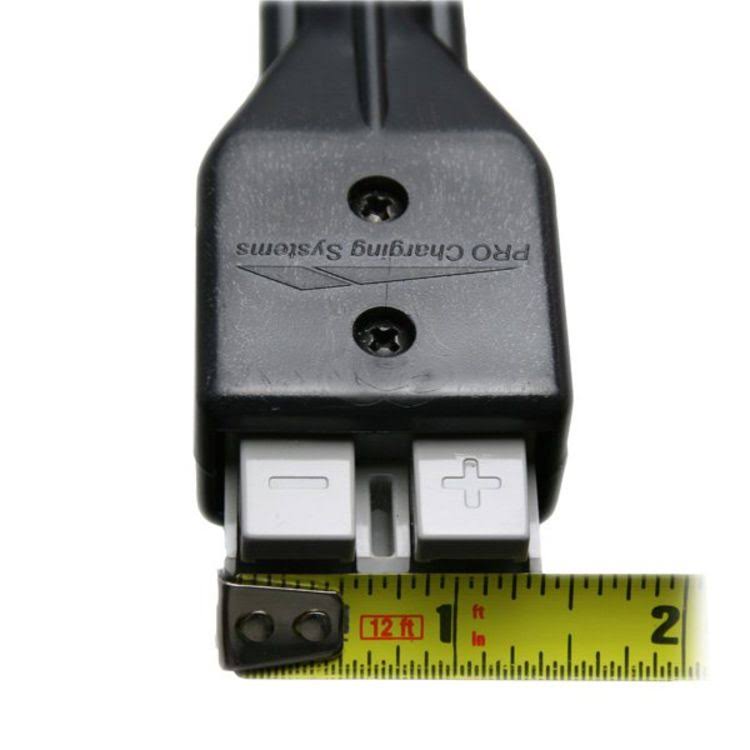 36 Volt 25 Amp Dual Pro Eagle Charger