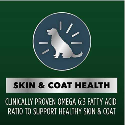 IAMS Advanced Health Skin &amp; Coat Chicken and Salmon Recipe Dry Dog Food - Pet Supplies online store