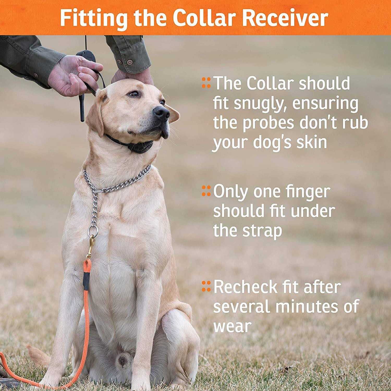 SportDOG FieldTrainer - Pet Supplies online store