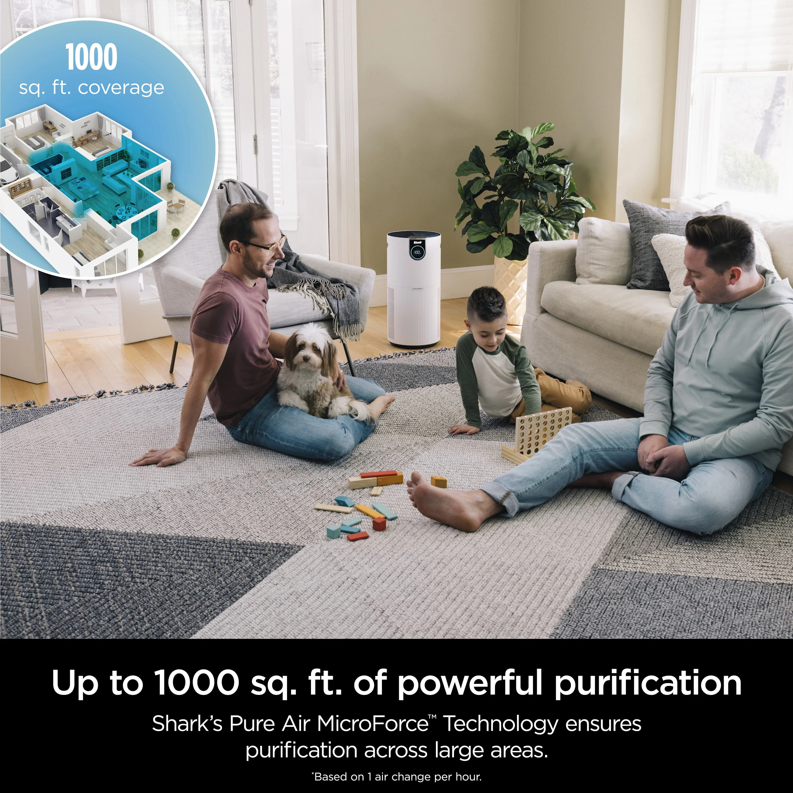 Shark Air Purifier with Nanoseal HEPA, Cleansense IQ, Odor Lock, Cleans up to 500 Sq. Ft, Charcoal Grey, HP100