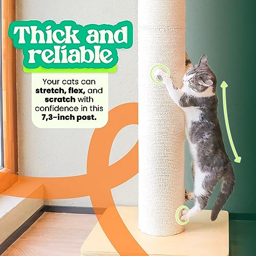 50" Tall Cat Scratching Post, Extra-Large Cat Scratch Post for Biggest Cats (Maine Coon), 7.3” Thick Post, 36lbs Weight
