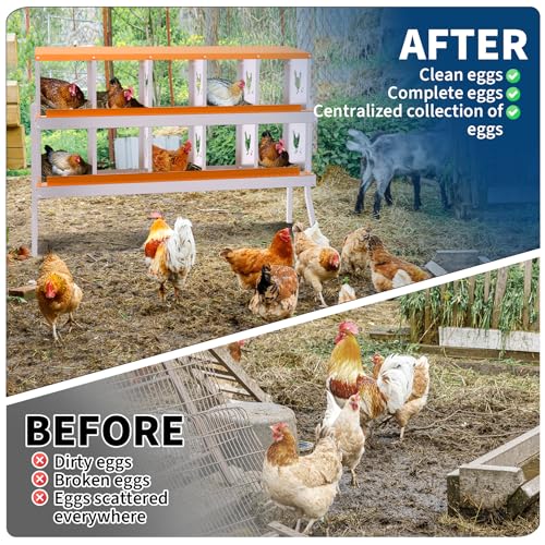 Garvee Chicken Nesting Box with Removable Tray, 8 Compartment Nesting Boxes for Chickens, Easy to Clean and Install
