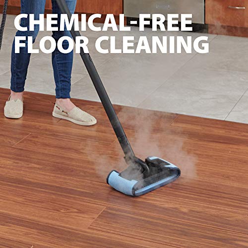 Wagner Spraytech C900054 905e AutoRight Multi-Purpose Steam Cleaner - Smart Home Appliances