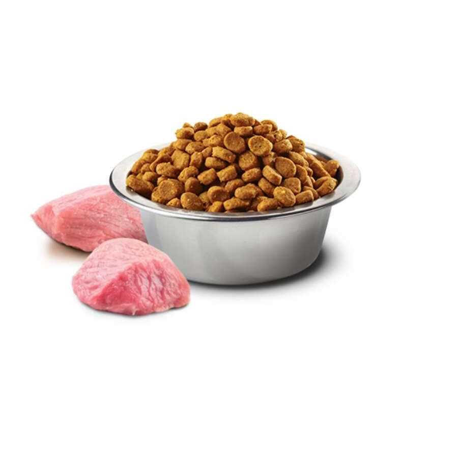 Farmina N;D Prime Boar ; Apple Medium ; Maxi Adult Grain-Free Dry Dog Food - Pet Supplies online store
