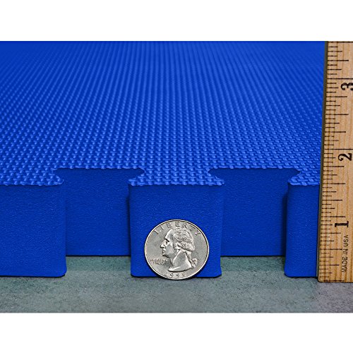 Meister X-THICK 1.5" Interlocking EVA Foam Mats - 2X Cushion for Wrestling, MMA Takedowns & Gymnastics - 2'x2' Tiles