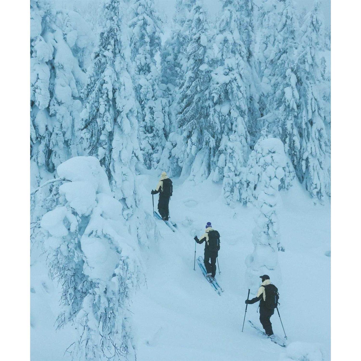 Salomon QST Echo 106 Skis - Sports Supplies Online Store