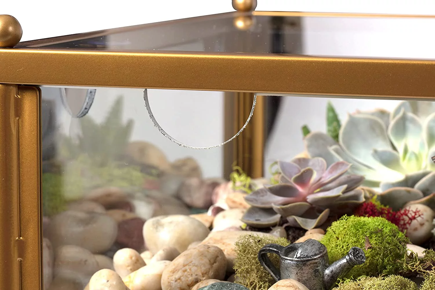 D'Eco Square Terrarium Glass End Table, 18x18x27