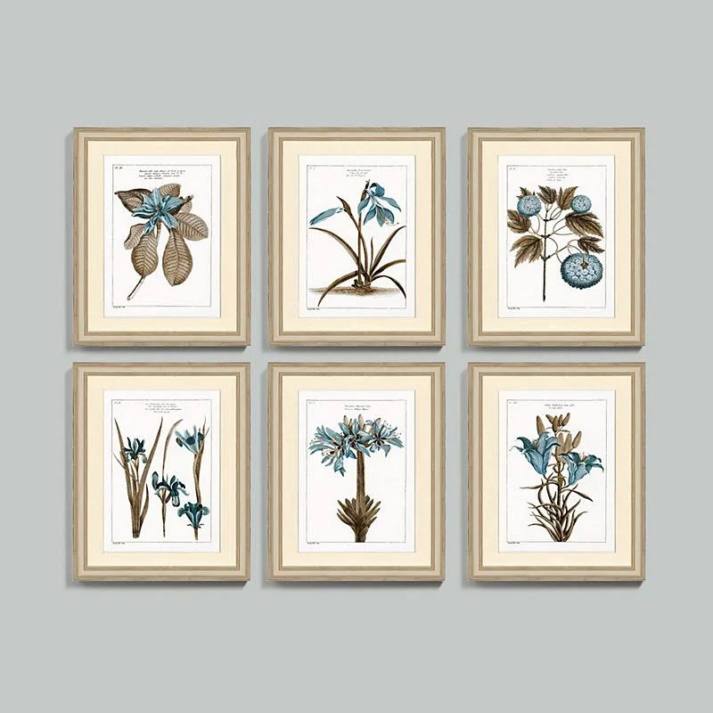 Buchoz Botanical Blue Art 23x22x19x22 - Ballard Designs