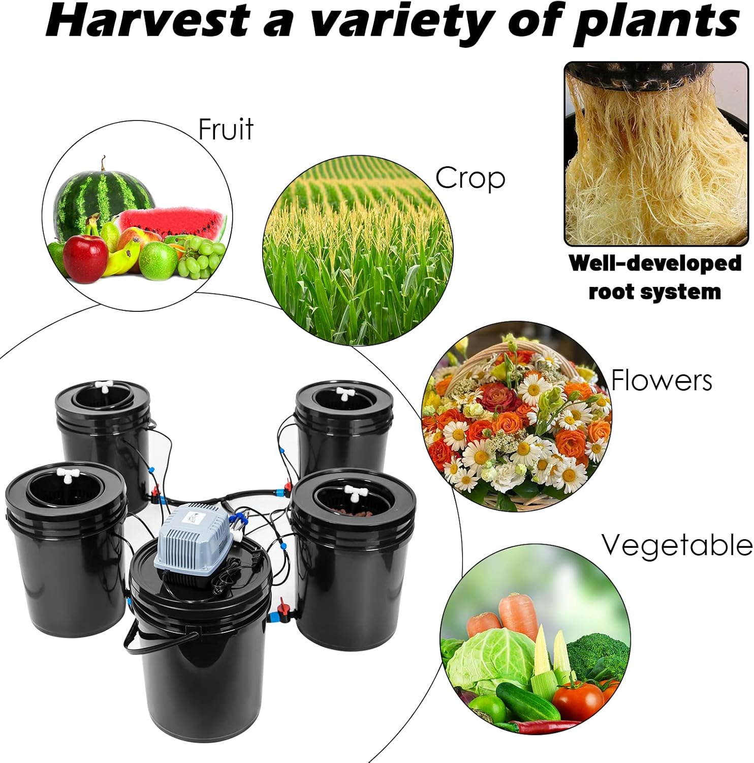 Hydroponics Growing System 5 Gallon DWC Hydroponic Bucket Kit Multi Barrel Hydroponic Machine Drip Irrigation System for Vegetables (4 Bucket +