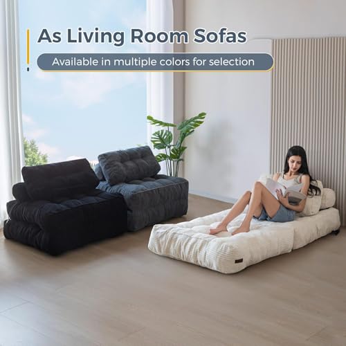 MAXYOYO Folding Sofa Bed, Convertible Sleeper Chair with Pillow Foldable Mattress with Back Support