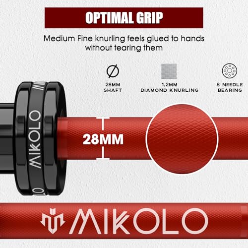 Mikolo 2" x 2" Folding Wall Mounted Squat Rack, 1000 Pounds Capacity Power Rack with Pull Up Bar, J Hooks and Other Attachments, Space-Saving Home Gym