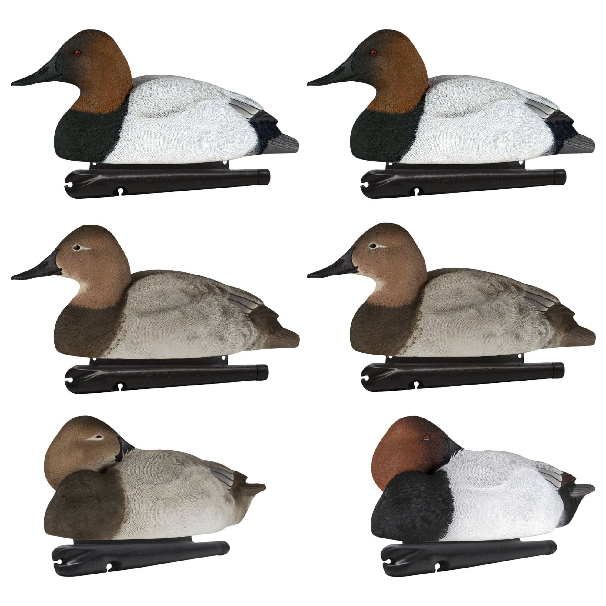 Avian-X Topflight Canvasback Duck Decoys 6 Pack