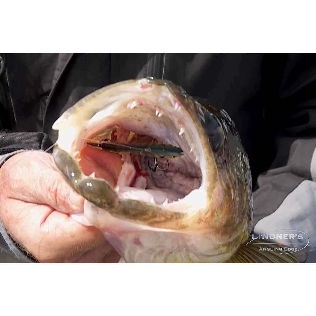 St. Croix Eyecon Spinning Rod - Sports Supplies Online Store