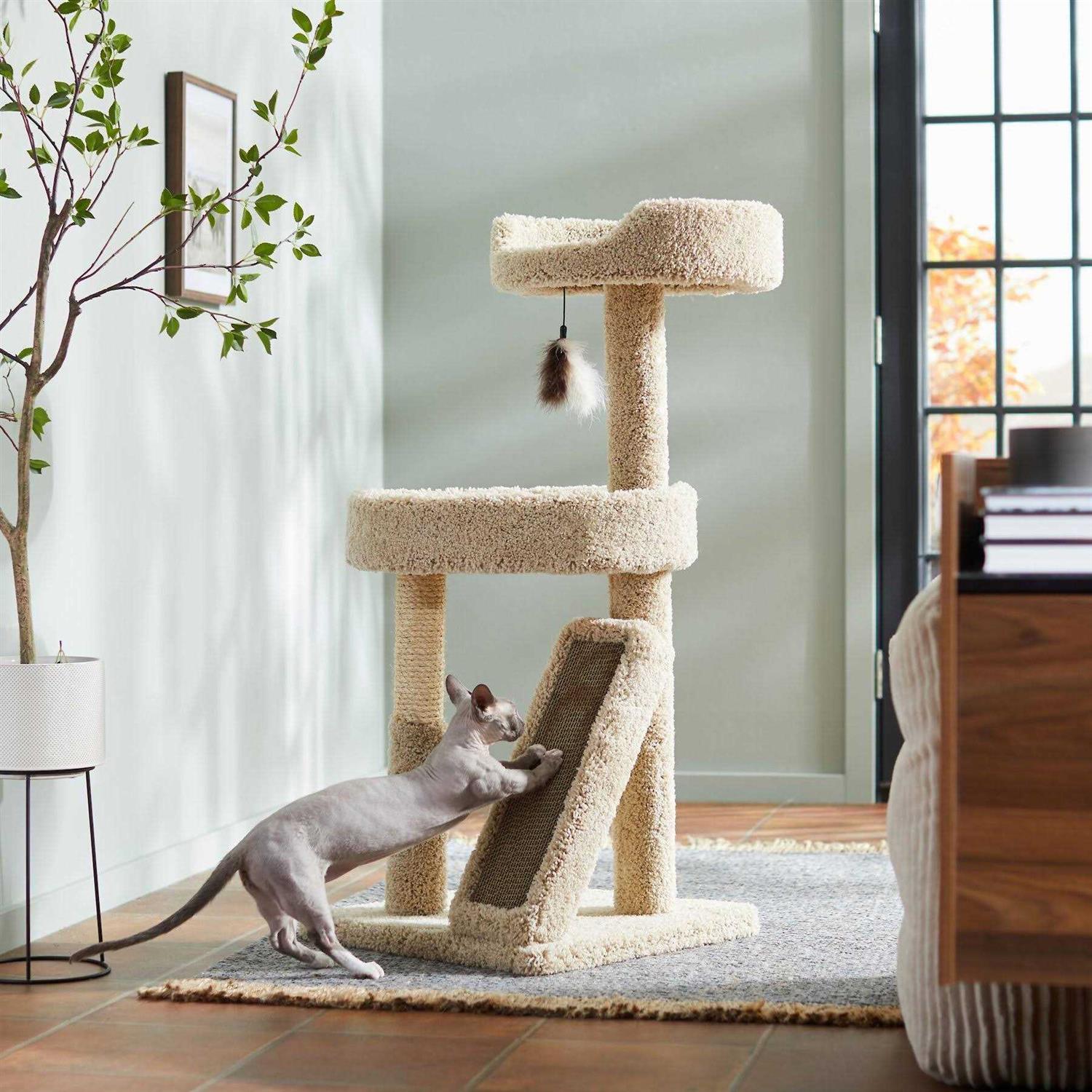 Frisco 44-in Real Carpet Cat Tree with Replaceable Corrugate Scratcher - Pet Supplies online store