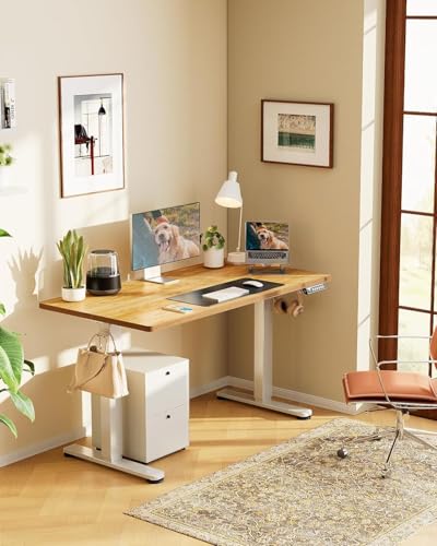 ErGear Height Adjustable Electric Standing Desk, 48 x 24 Inches Sit Stand up Desk, Memory Computer Home Office Desk with Two-Piece Desktop (Walnut)